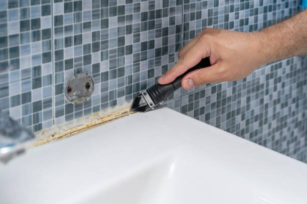 Best Professional Mold Removal  in Herculaneum, MO