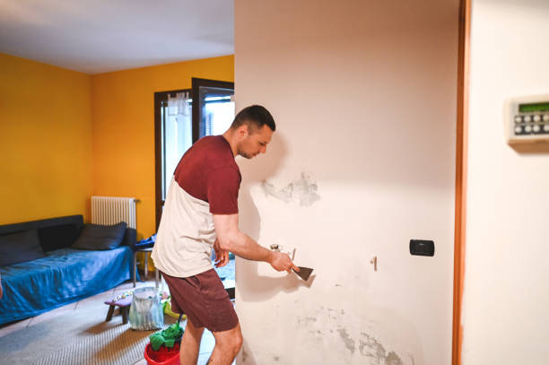 Best Mold Cleaning Services  in Herculaneum, MO